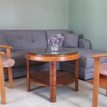 Gemuetliche In Appartement Mallentin